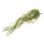 Lucky Reptile Louisanna Moos (ca. 50cm)