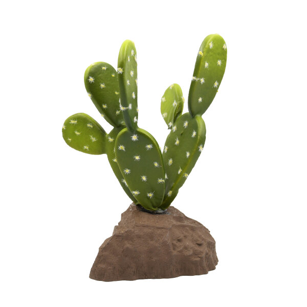 Lucky Reptile Biberschwanzkaktus (ca. 15cm)
