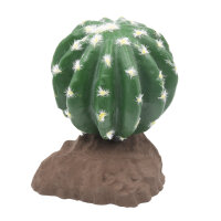 Lucky Reptile Kugelkaktus (ca. 15cm)