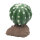 Lucky Reptile Kugelkaktus (ca. 15cm)