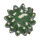 Lucky Reptile Kugelkaktus (ca. 15cm)