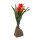 Lucky Reptile Bromelie groß, rot (ca. 30cm)
