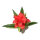 Lucky Reptile Bromelie groß, rot (ca. 30cm)