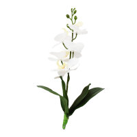 Lucky Reptile Orchidee klein, weiß (ca. 35cm)