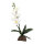 Lucky Reptile Orchidee klein, weiß (ca. 35cm)