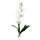 Lucky Reptile Orchidee klein, weiß (ca. 35cm)