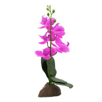 Lucky Reptile Orchidee klein lila (ca. 35cm)