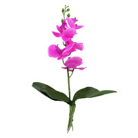 Lucky Reptile Orchidee klein lila (ca. 35cm)