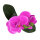 Lucky Reptile Orchidee klein lila (ca. 35cm)