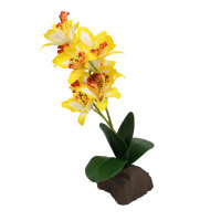 Lucky Reptile Orchidee groß, gelb (ca. 35cm)
