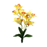 Lucky Reptile Orchidee groß, gelb (ca. 35cm)