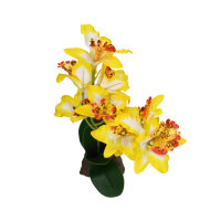 Lucky Reptile Orchidee groß, gelb (ca. 35cm)