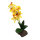 Lucky Reptile Orchidee groß, gelb (ca. 35cm)