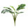 Lucky Reptile Monstera (ca. 60cm)