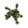 Lucky Reptile Podocarpus (ca. 40cm)