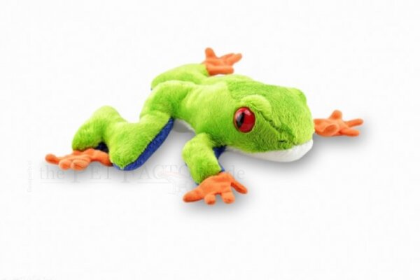 Kuschel Rotaugenlaubfrosch 18cm (Agalychnis)