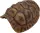 REPTO Deco Tortoise XL (300x240x120mm)