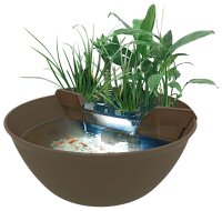 Superfish Mini Teich, terrabraun