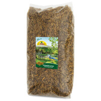 JR Garden Hermitia/ Soldatenfliegen Larven 1kg