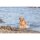 Aqua Toy Leuchtturm am Seil, TPR, 26 cm