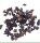 Bodydogs Mini Trainer Rinderlunge 200g