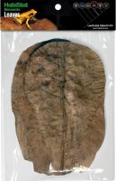 HabiStat Elements Catappa Leaves 10 Stück