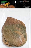 HabiStat Elements Dadap Leaves, 10 Stück