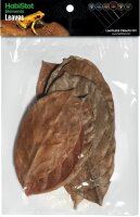 HabiStat Elements Jackfruit Leaves, 10 Stück