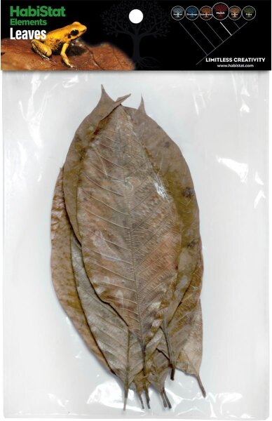 HabiStat Elements Rubber Leaves, 10 Stück