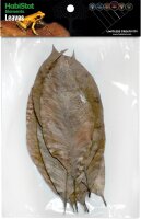 HabiStat Elements Rubber Leaves, 10 Stück