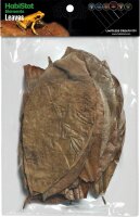 HabiStat Elements Mixed Leaves, 10 Stück