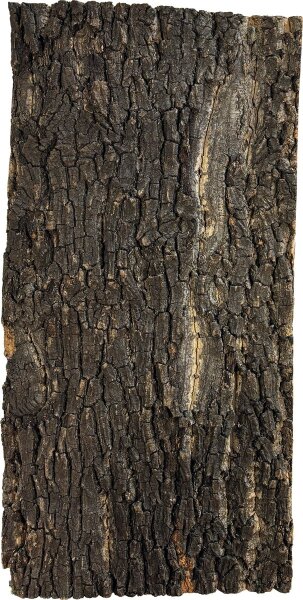 REPTO Korkplatte 60x30cm
