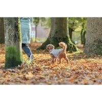 Trixie Wintermantel Ajou, M:45 cm, grau