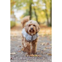 Trixie Wintermantel Ajou, M:45 cm, grau