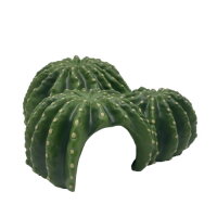 Hobby Cactus Home 5 (12,8x12,5x5,8cm)