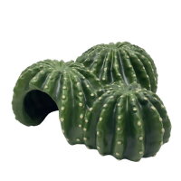 Hobby Cactus Home 5 (12,8x12,5x5,8cm)
