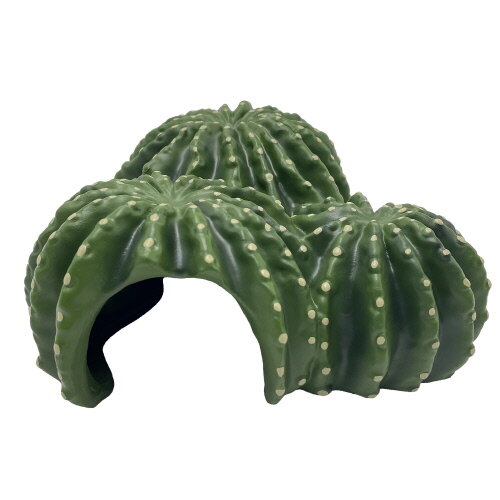 Hobby Cactus Home 6 (17,5x17x8cm)