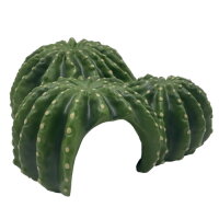 Hobby Cactus Home 6 (17,5x17x8cm)