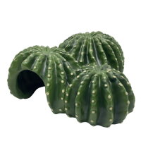 Hobby Cactus Home 6 (17,5x17x8cm)