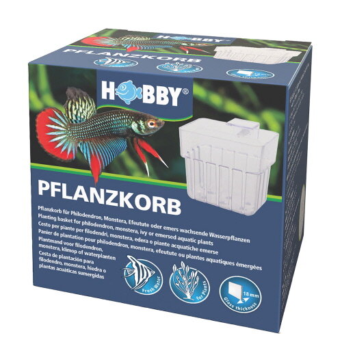 Hobby Pflanzkorb transparent (8x57x8cm)