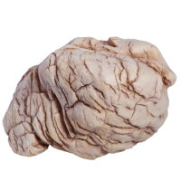 Hobby Sandstone Rock 3 (18x13x10cm)