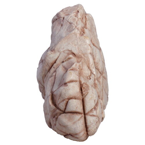 Hobby Sandstone Rock 5 (12x9x5cm)