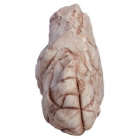 Hobby Sandstone Rock 5 (12x9x5cm)
