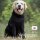 actionfactory medi cape, M, black