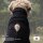 actionfactory medi cape, M, black