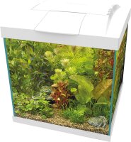 Superfish Start 30 Qube Kit, weiss