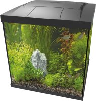 Superfish Start 60 Qube Kit, schwarz