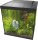Superfish Start 60 Qube Kit, schwarz