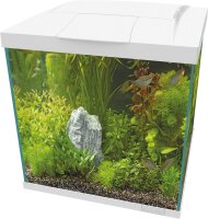 Superfish Start 60 Qube Kit, weiss