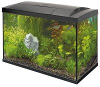 Superfish Start 70 (59x31x44cm) Tropical Kit, schwarz